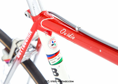 Bottecchia Team Malvor Racing Road Bicycle 1988 - Steel Vintage Bikes