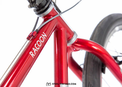 Centurion Racoon All-Purpose Bicycle - Steel Vintage Bikes