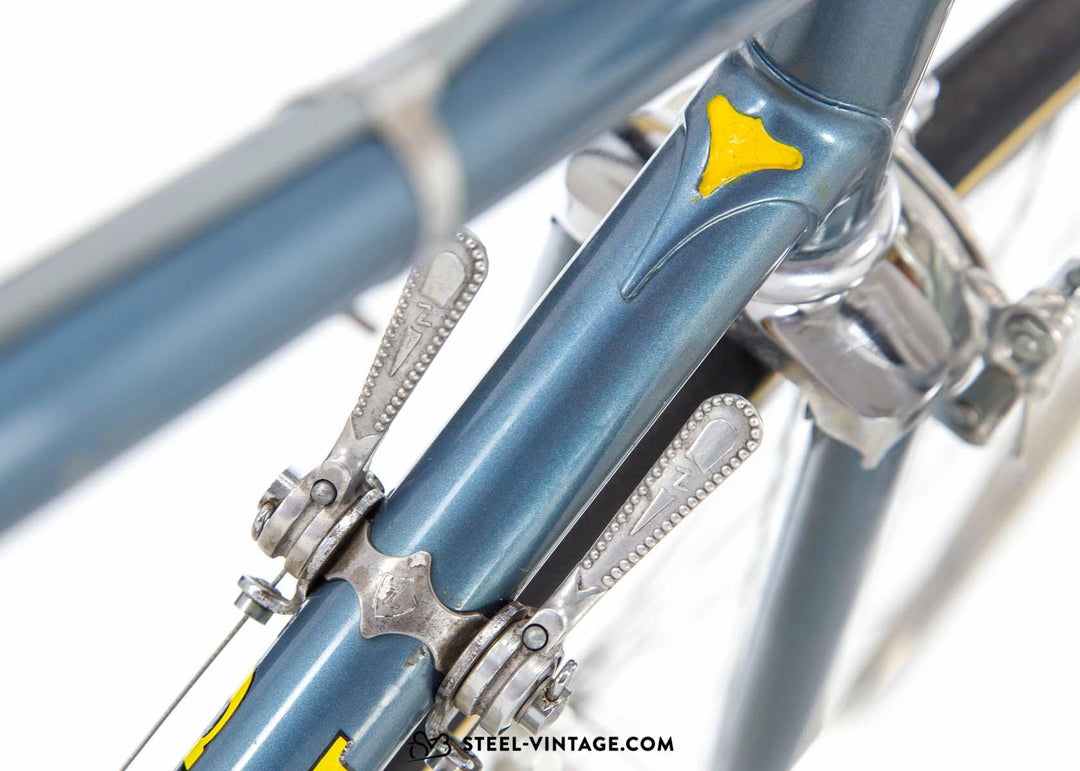 Chesini ゼウス・クラシック・ロード自転車 1970年代 Steel Vintage Bikes