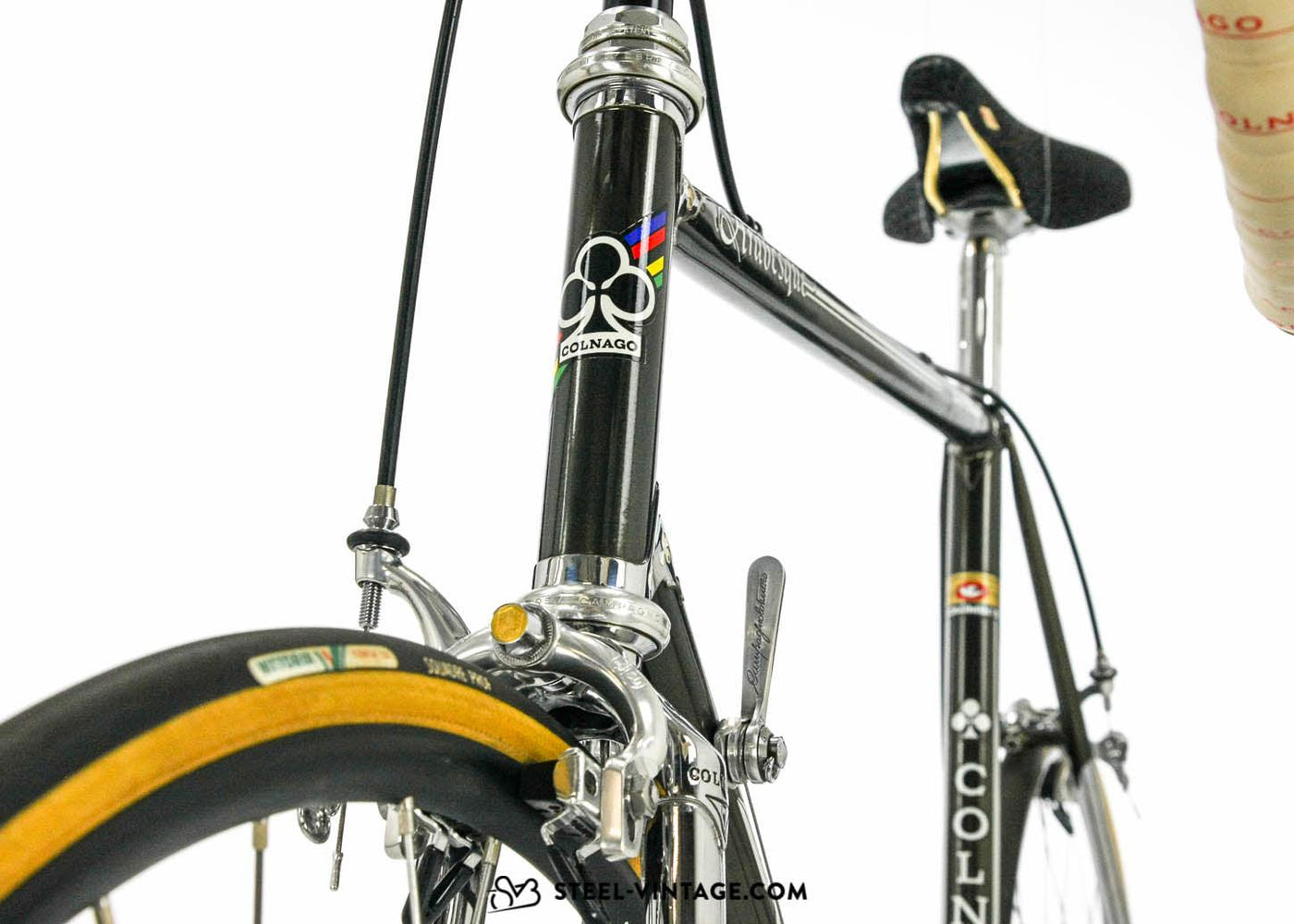 Colnago Arabesque Campagnolo Anniversary Bike 1984 - Steel Vintage Bikes