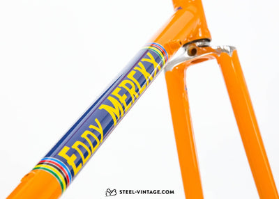 Colnago Eddy Merckx Team Molteni Replica 1970s - Steel Vintage Bikes