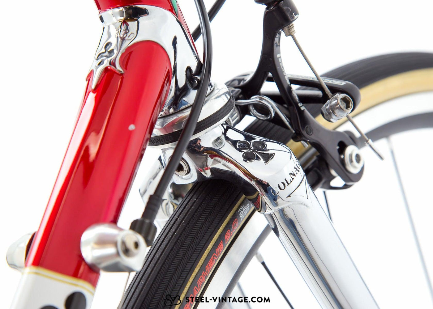 Colnago Master Olympic Saronni Neo-Retro Premium Road Bike - Steel Vintage Bikes