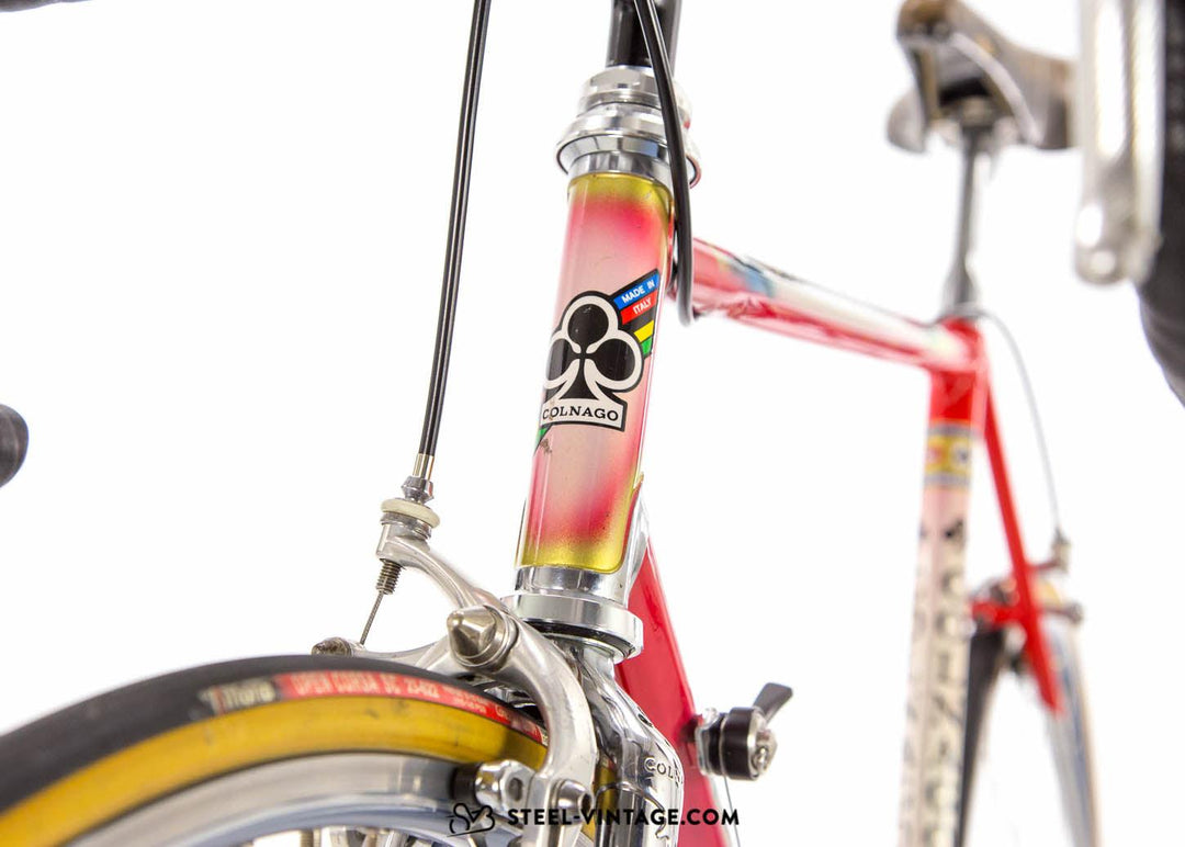 Steel Vintage Bikes - Colnago Master オリンピック・クラシック・スチール・ロードバイク