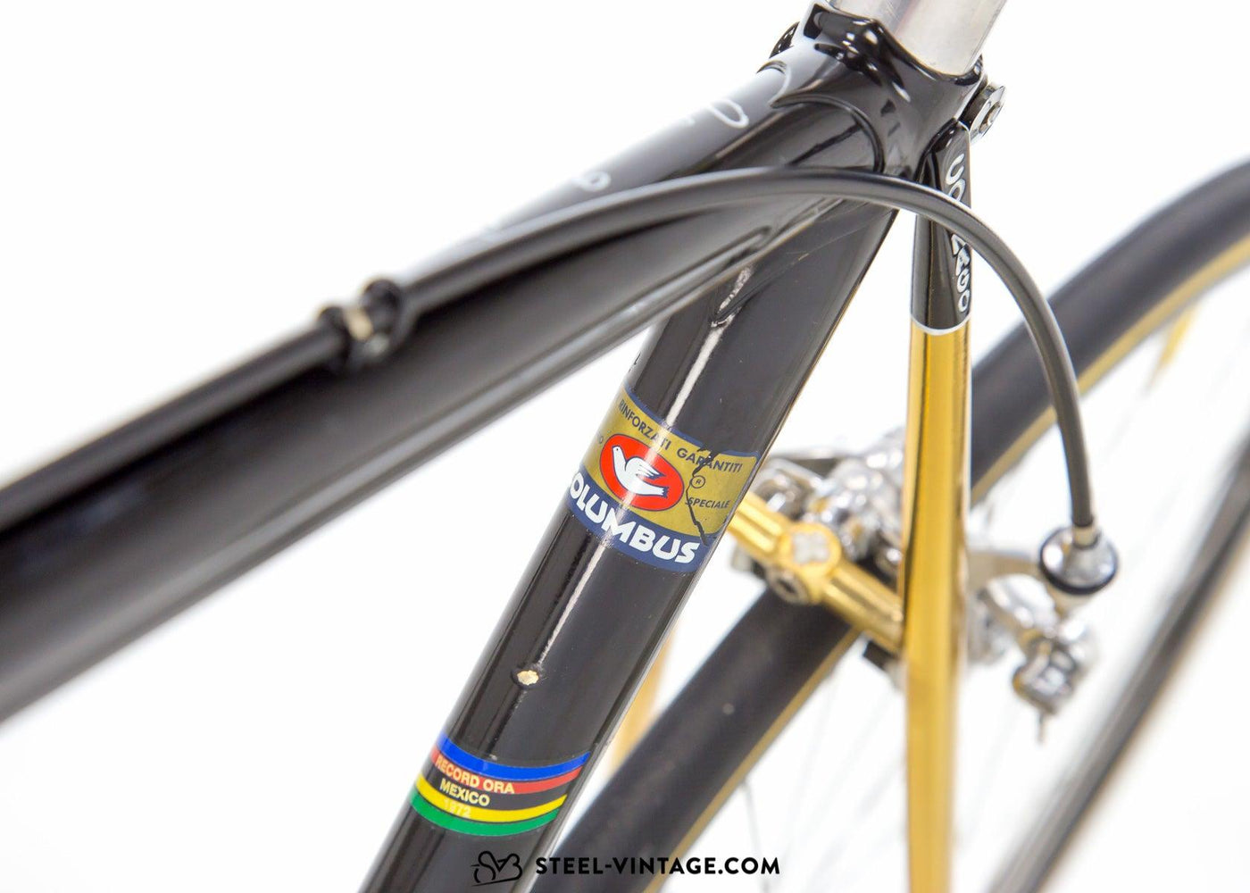 Colnago Nuovo Mexico Oro Gold Road Bike 1982 - Steel Vintage Bikes