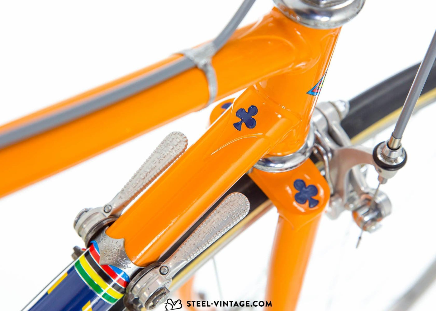 Colnago Super Team Molteni Replica 1973 - Steel Vintage Bikes