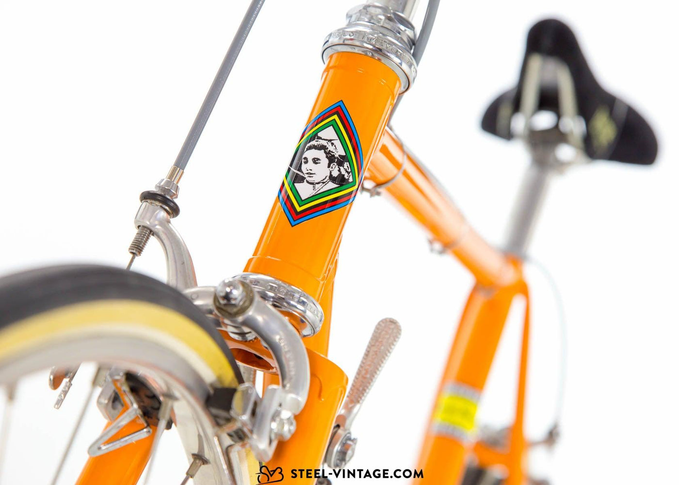 Colnago Super Team Molteni Replica 1973 - Steel Vintage Bikes