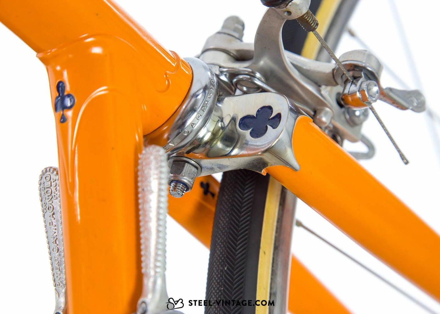 Colnago Super Team Molteni Replica 1974 - Steel Vintage Bikes