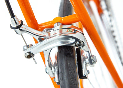 De Rosa Professional Merckx Molteni Neo-Retro Bike - Steel Vintage Bikes
