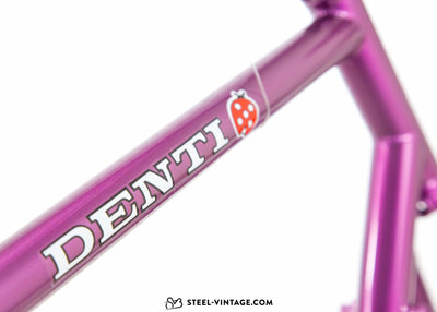 Denti Purple Classic Road TIG Welded for David L. - Steel Vintage Bikes