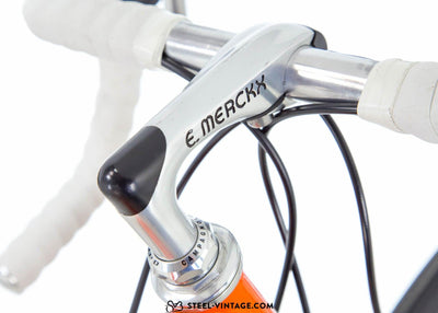 Eddy Merckx MX Leader Molteni Tribute 1990s - Steel Vintage Bikes