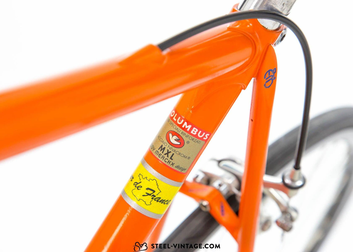 Eddy Merckx MX Leader Molteni Tribute 1990s - Steel Vintage Bikes