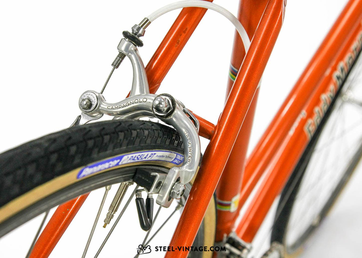 Eddy Merckx Professional Donna Ladies Eroica Bike 1980s - Steel Vintage Bikes