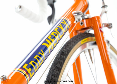 Eddy Merckx Professional Molteni Tribute Neo-Retro Bike - Steel Vintage Bikes