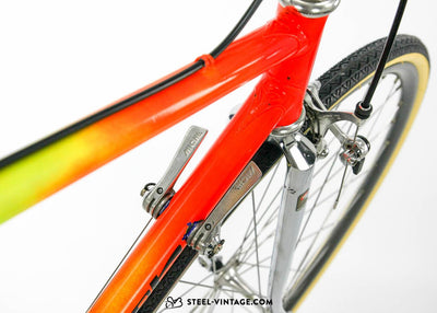 Francesco Moser Painted Steel Road Bike 1980s - Steel Vintage Bikes