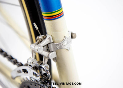 Gazelle AA Team Campagnolo Coloured Bike 1979 - Steel Vintage Bikes