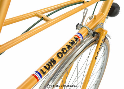 Luis Ocana Sifam Ladies Bike 1970s - Steel Vintage Bikes