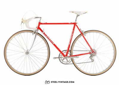 Pinarello Asolo Classic Road Bike 1980s - Steel Vintage Bikes