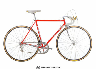 Pinarello Treviso Classic Road Bike - Steel Vintage Bikes