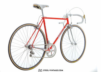 Pinarello Treviso Classic Road Bike - Steel Vintage Bikes