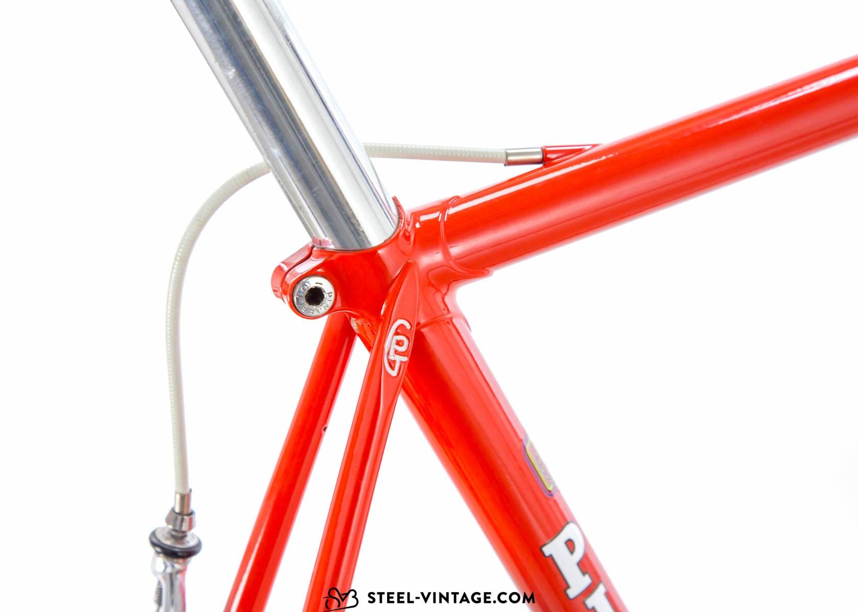 Pinarello classic 2024 frame