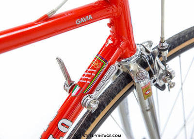 Pinarello Treviso Classic Road Bike - Steel Vintage Bikes