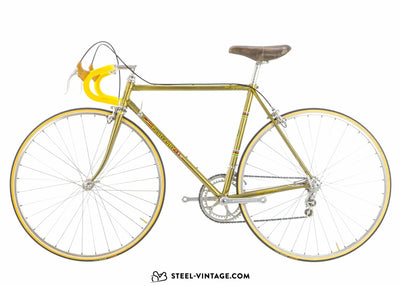 Pogliaghi Road Bicycle - Steel Vintage Bikes