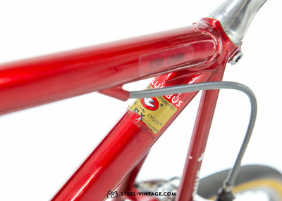 Q-Bike Artisanal Racing Bike 1990s - Steel Vintage Bikes