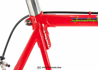 Rigi For Francesco Moser Rare Roadbike 1980s - Steel Vintage Bikes