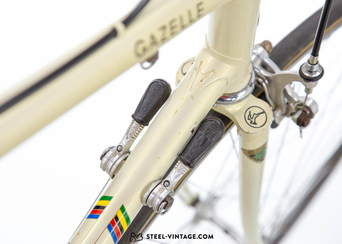 Roger de Vlaeminck Personal Gazelle 753 Team DAF 1981 - Steel Vintage Bikes