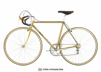Rossin Record Oro Classic Road Bicycle 1980 - Steel Vintage Bikes