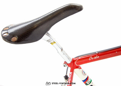 Bottecchia Team Malvor Racing Road Bicycle 1988 - Steel Vintage Bikes