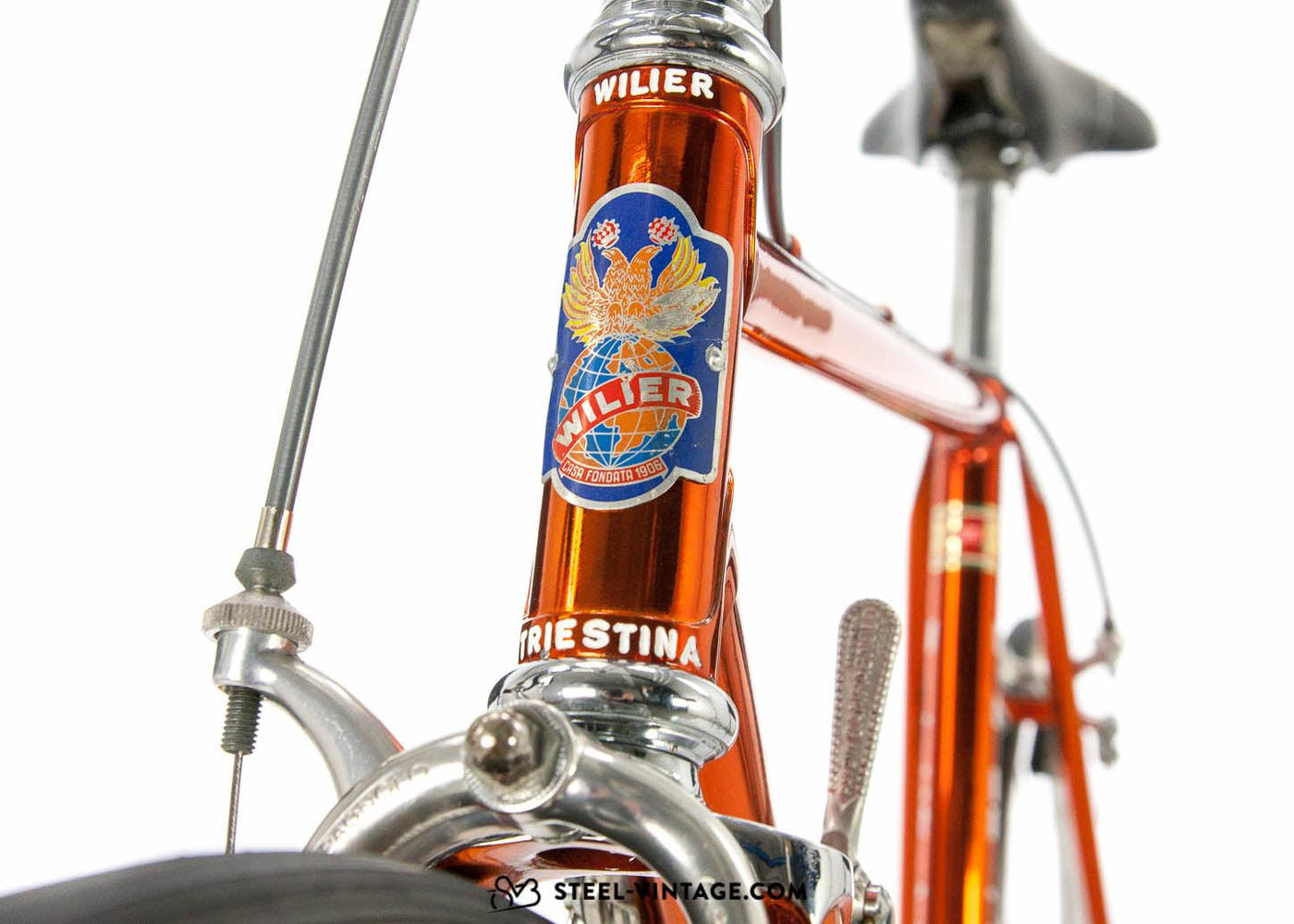 Wilier Triestina Modello Speciale 1970s - Steel Vintage Bikes